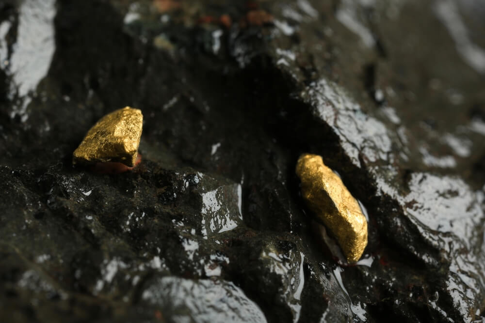 Gold Nugget