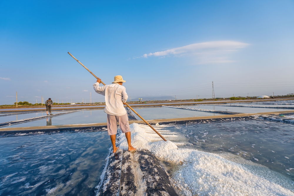Vung,Tau,,Vietnam,-,Mar,18,2023:,Sea,Salt,Process