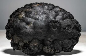 Deep-Sea Nickel Ore Displayed in Japan as Industry Eyes Future of Underwater Mining