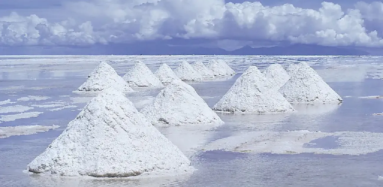 Zangge Mining Regulator Halts Zangge’s Qinghai Salt-Lake Lithium Output, Lifting Chinese Prices