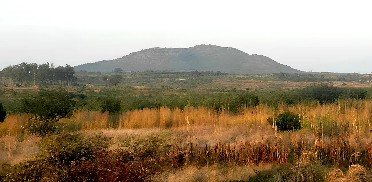 Kangankunde Lindian approves FID for Malawi rare earths mine, secures A$91.5m to fund Stage 1