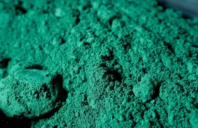 glencore cobalt Glencore warns Congo export ban could leave 2025 cobalt stockpiles stranded